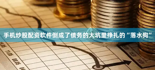 手机炒股配资软件倒成了债务的大坑里挣扎的“落水狗”
