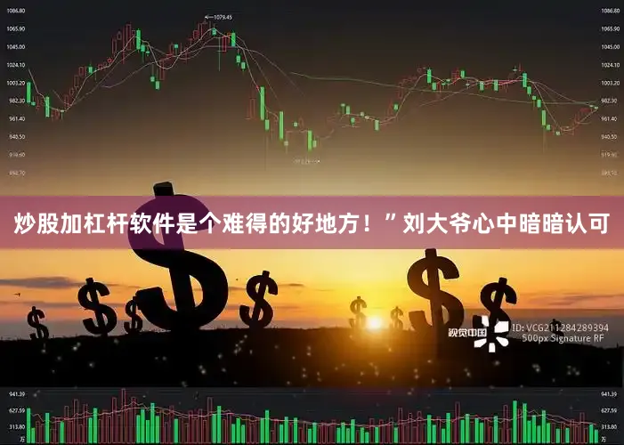 炒股加杠杆软件是个难得的好地方！”刘大爷心中暗暗认可